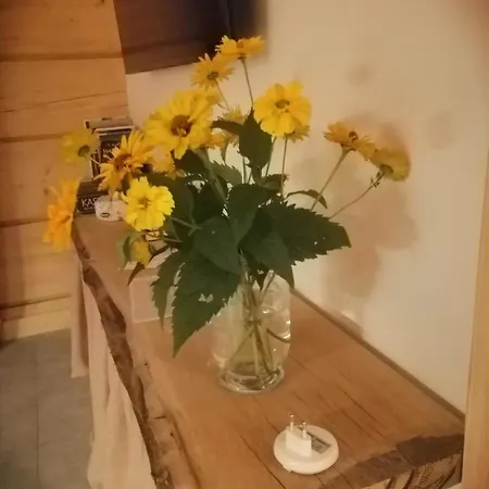 Vakantiehuis Drewniany Dom Na Mazurach